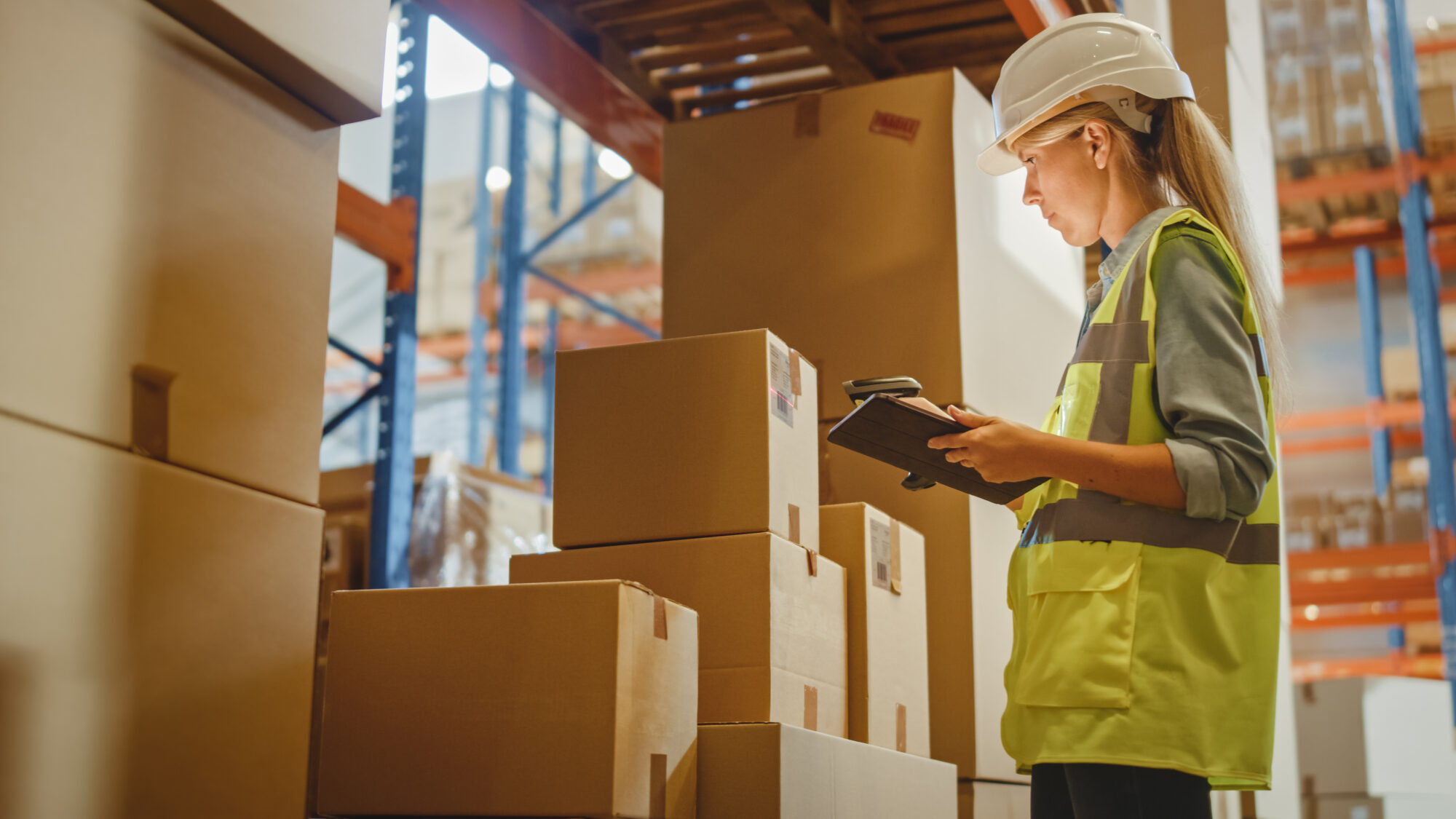 Retail Warehouse full of Shelves with Goods in Cardboard Boxes, Female Worker Scans and Sorts Packages for Delivery. Distribution Logistics Center. Low Angle